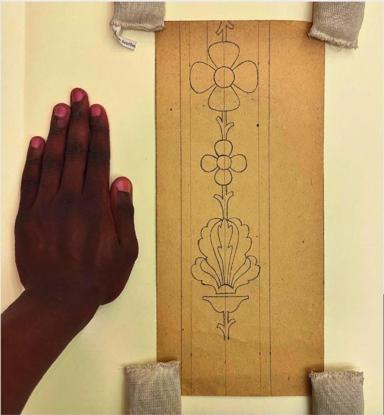 A hand laid flat beside Krieg's border drawing on tan paper, used as a unit of measurement.