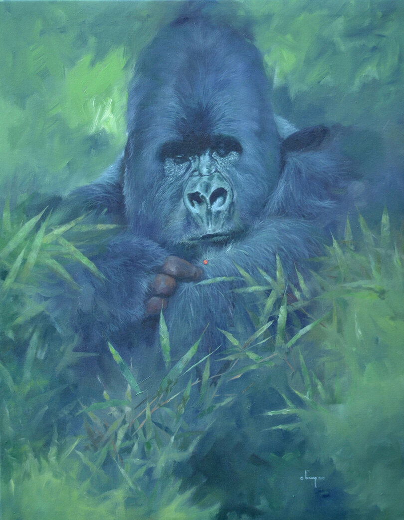Acrylic painting of a silverback gorilla in blue-green foliage, lifting a hand to its arm.